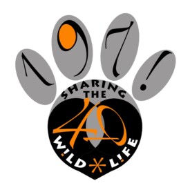 40th